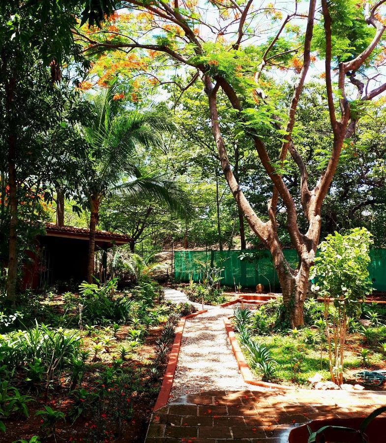 Casa Mapache Hotel Tamarindo Buitenkant foto
