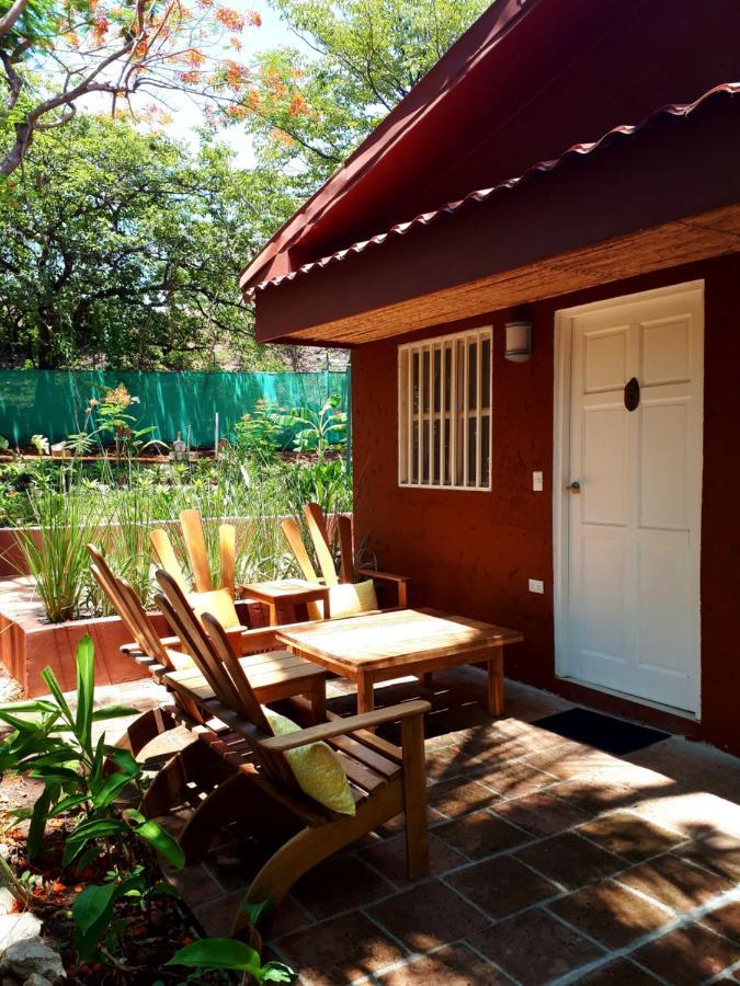 Casa Mapache Hotel Tamarindo Buitenkant foto
