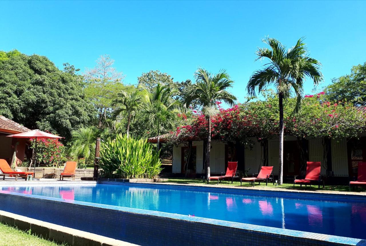 Casa Mapache Hotel Tamarindo Buitenkant foto