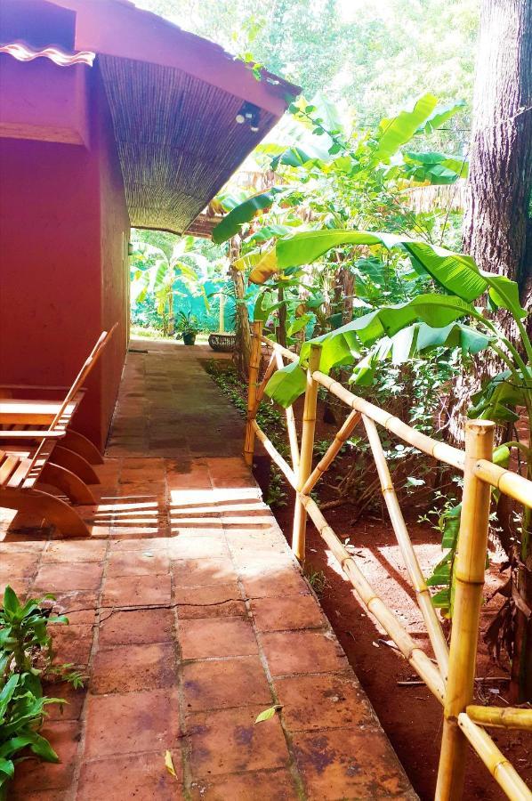Casa Mapache Hotel Tamarindo Buitenkant foto
