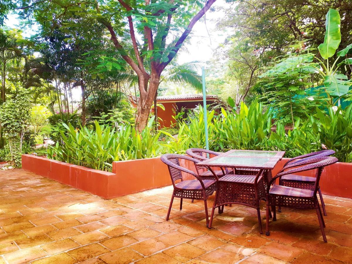 Casa Mapache Hotel Tamarindo Buitenkant foto