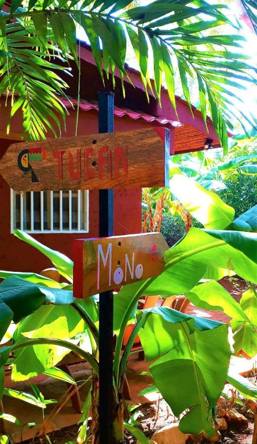 Casa Mapache Hotel Tamarindo Buitenkant foto