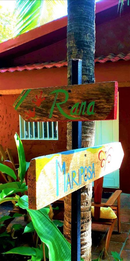 Casa Mapache Hotel Tamarindo Buitenkant foto