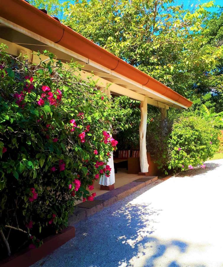 Casa Mapache Hotel Tamarindo Buitenkant foto
