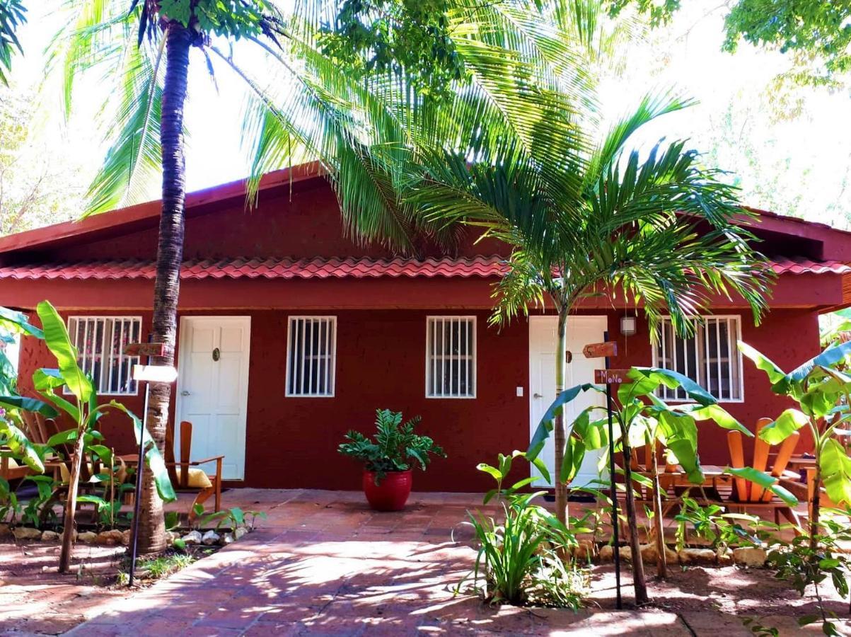 Casa Mapache Hotel Tamarindo Buitenkant foto