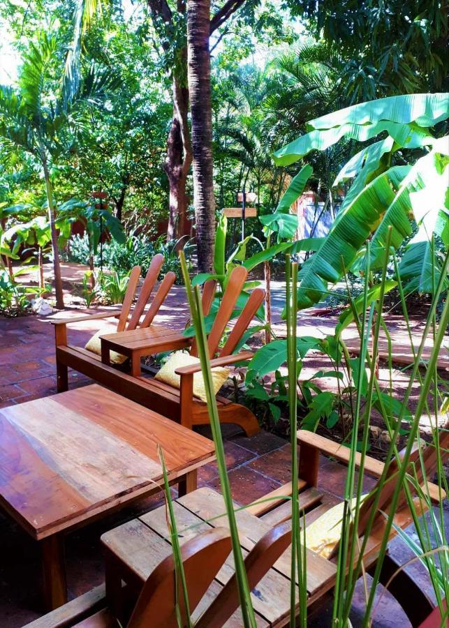 Casa Mapache Hotel Tamarindo Buitenkant foto